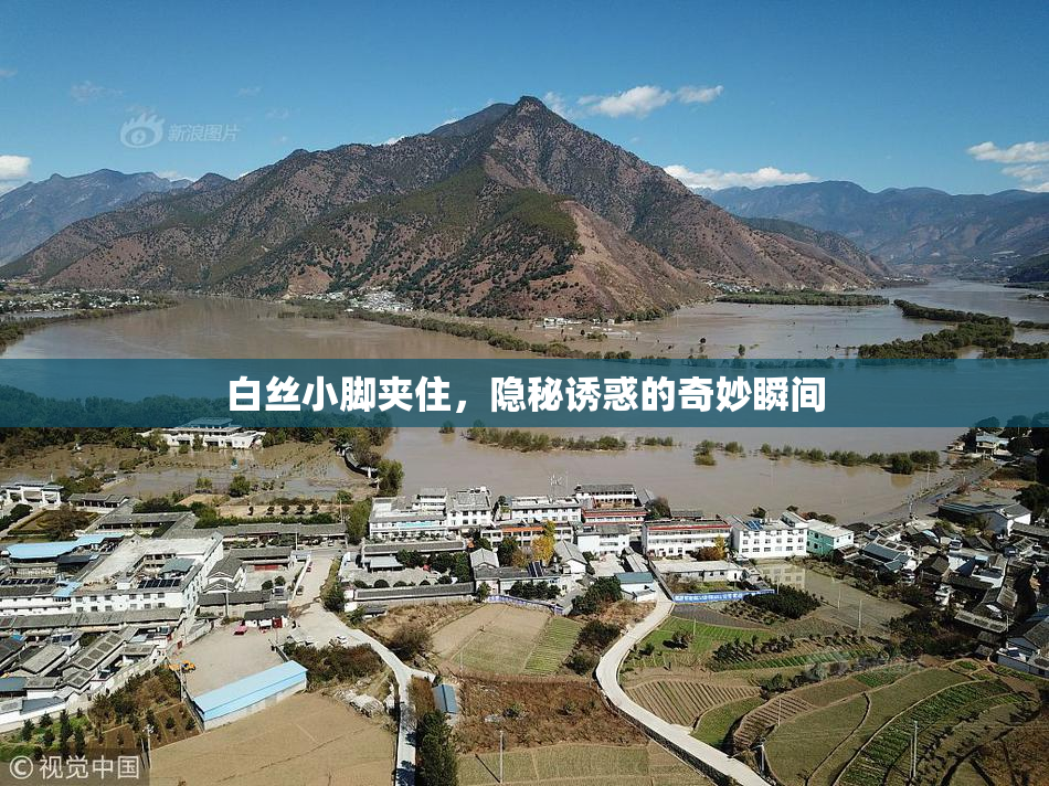 白丝小脚夹住，隐秘诱惑的奇妙瞬间