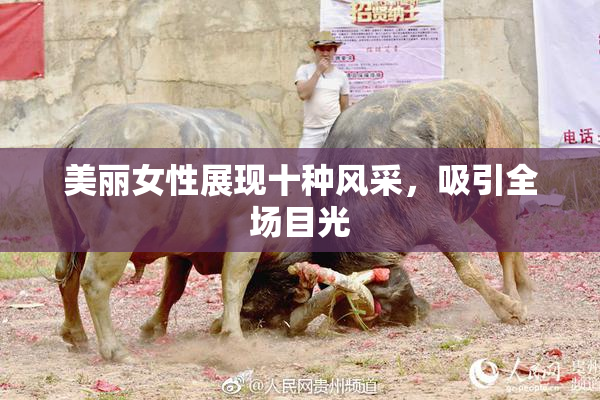 美丽女性展现十种风采，吸引全场目光