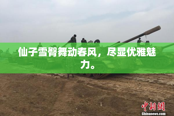 仙子雪臀舞动春风，尽显优雅魅力。