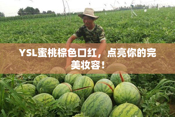 YSL蜜桃棕色口红，点亮你的完美妆容！