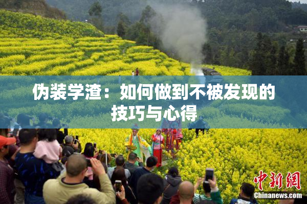 伪装学渣：如何做到不被发现的技巧与心得