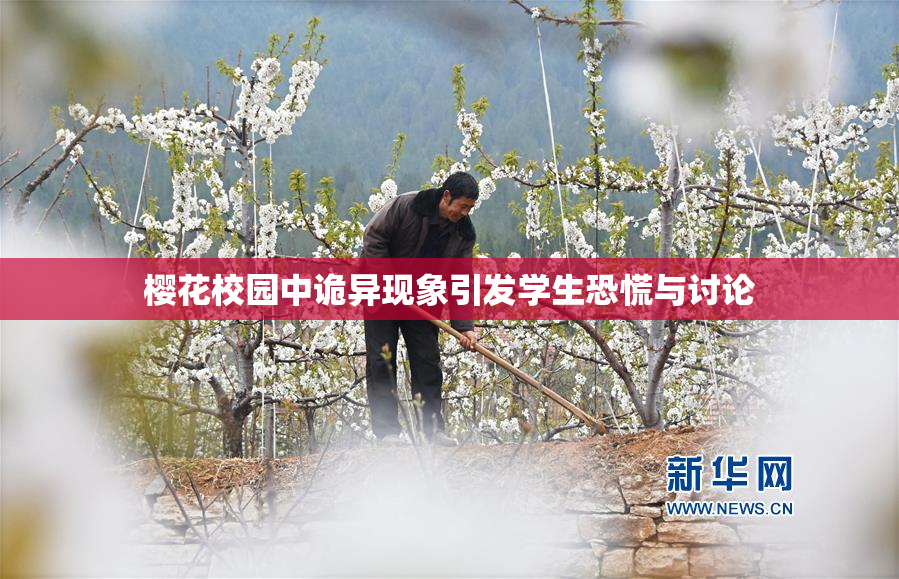 樱花校园中诡异现象引发学生恐慌与讨论