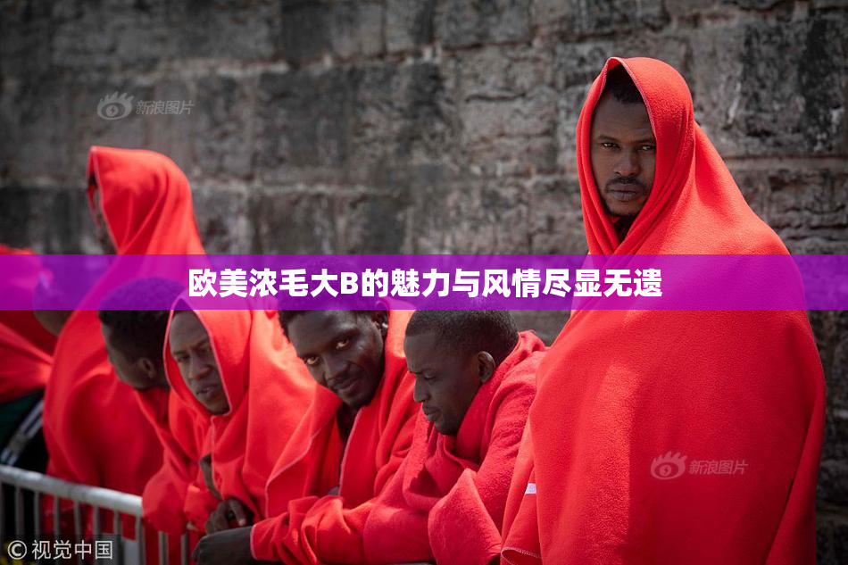 欧美浓毛大B的魅力与风情尽显无遗