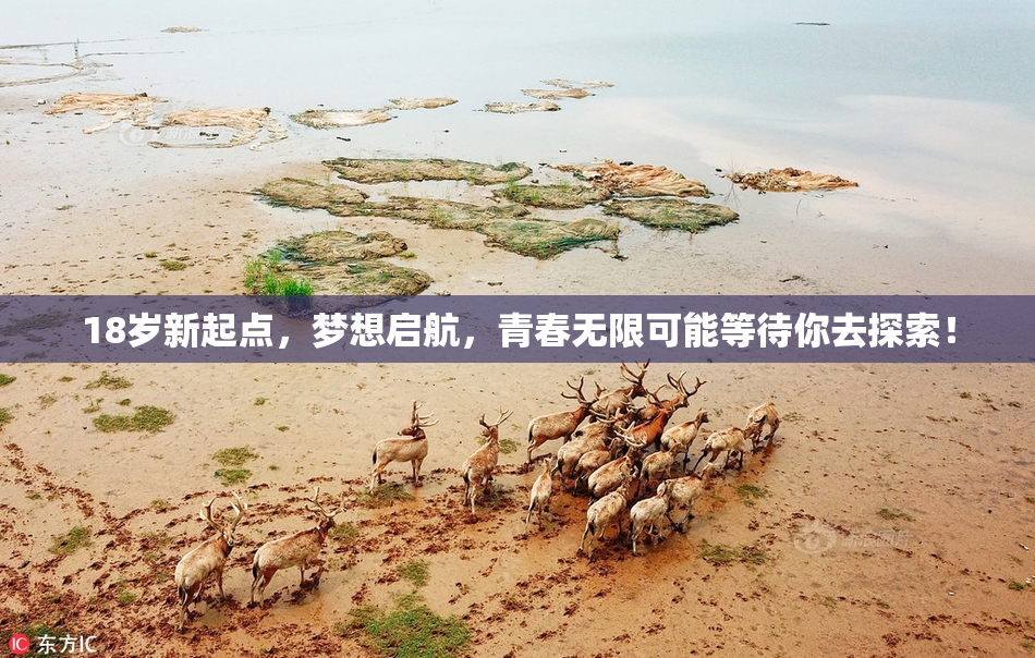 18岁新起点，梦想启航，青春无限可能等待你去探索！
