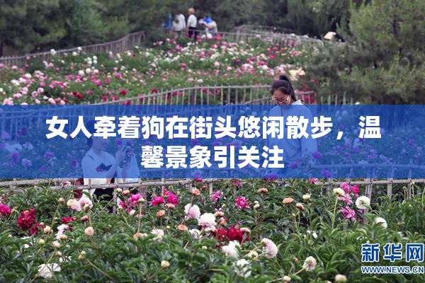 女人牵着狗在街头悠闲散步，温馨景象引关注