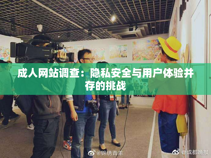 成人网站调查：隐私安全与用户体验并存的挑战