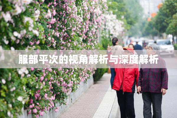 服部平次的视角解析与深度解析