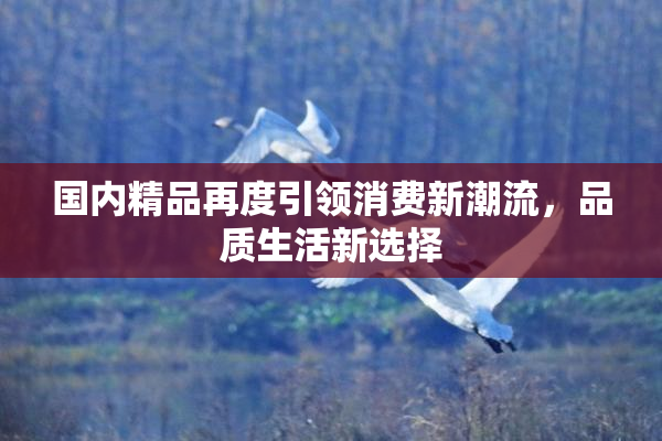 国内精品再度引领消费新潮流，品质生活新选择