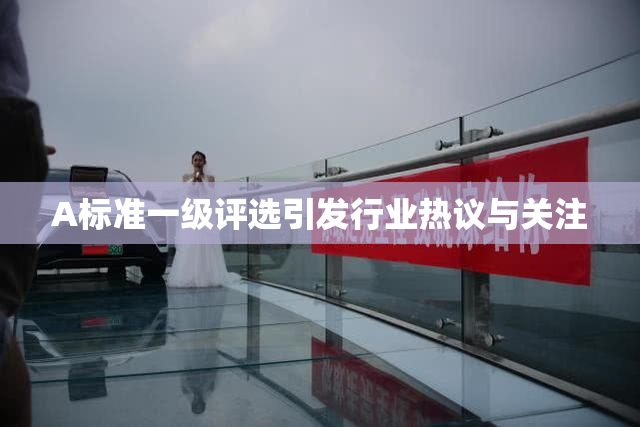 A标准一级评选引发行业热议与关注
