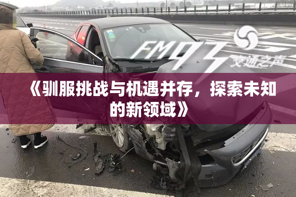 《驯服挑战与机遇并存，探索未知的新领域》