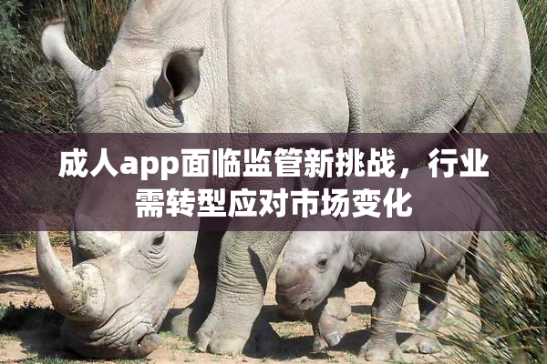 成人app面临监管新挑战，行业需转型应对市场变化