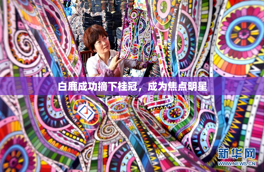 白鹿成功摘下桂冠，成为焦点明星