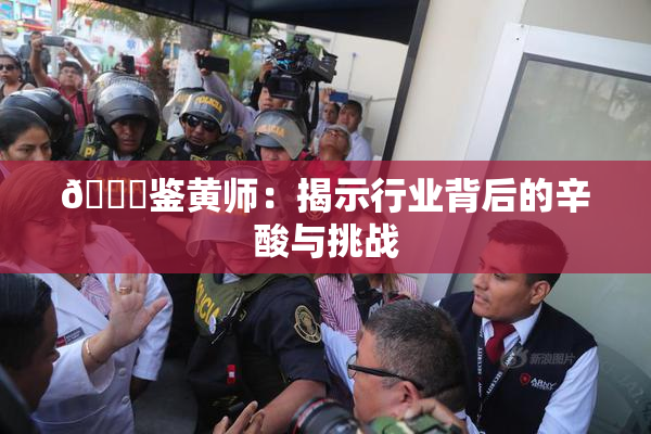 🔞鉴黄师：揭示行业背后的辛酸与挑战