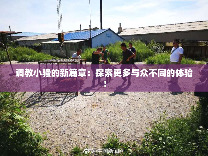 调教小骚的新篇章：探索更多与众不同的体验！