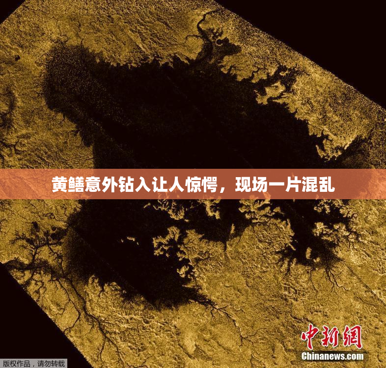 黄鳝意外钻入让人惊愕，现场一片混乱
