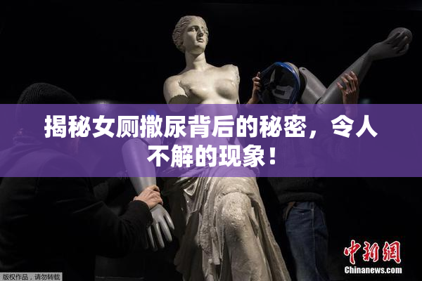 揭秘女厕撒尿背后的秘密，令人不解的现象！