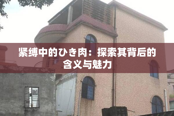 紧缚中的ひき肉：探索其背后的含义与魅力