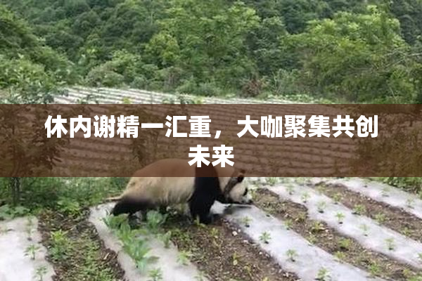 休内谢精一汇重，大咖聚集共创未来