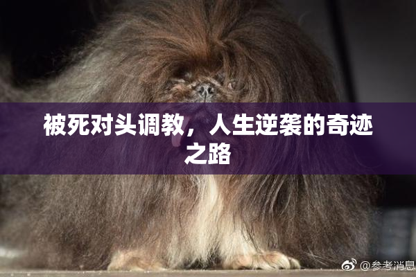 被死对头调教，人生逆袭的奇迹之路