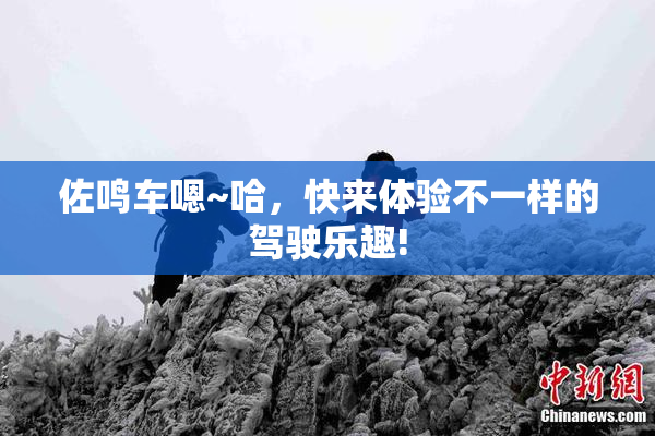 佐鸣车嗯~哈，快来体验不一样的驾驶乐趣!
