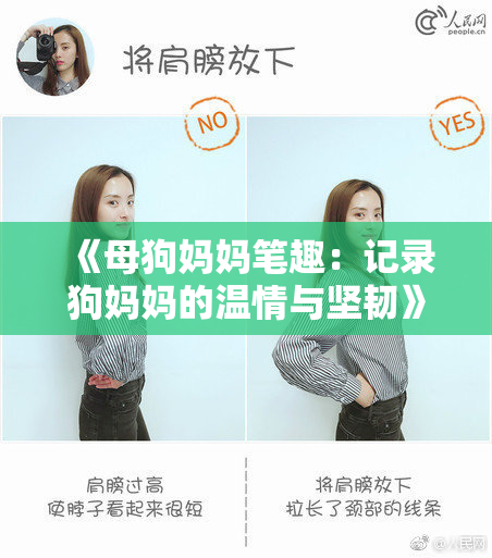 《母狗妈妈笔趣：记录狗妈妈的温情与坚韧》