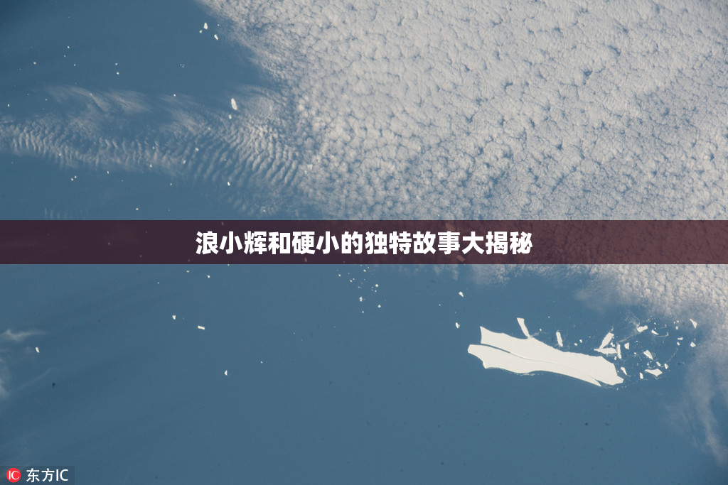 浪小辉和硬小的独特故事大揭秘