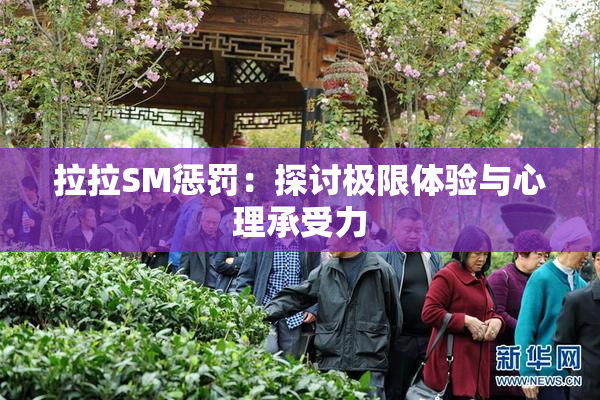 拉拉SM惩罚：探讨极限体验与心理承受力