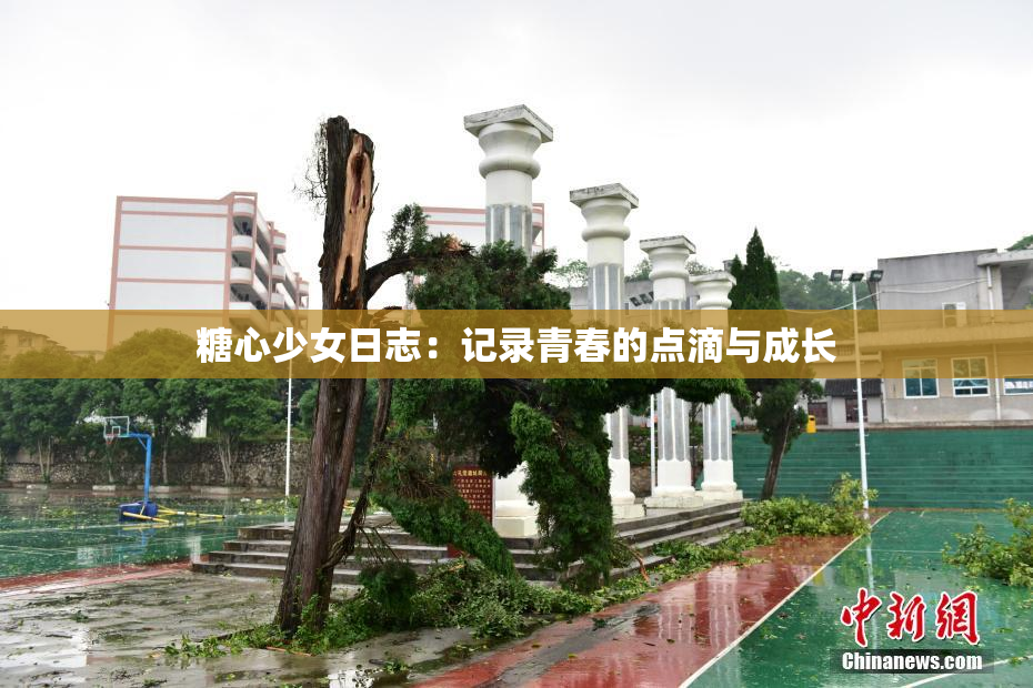 糖心少女日志：记录青春的点滴与成长