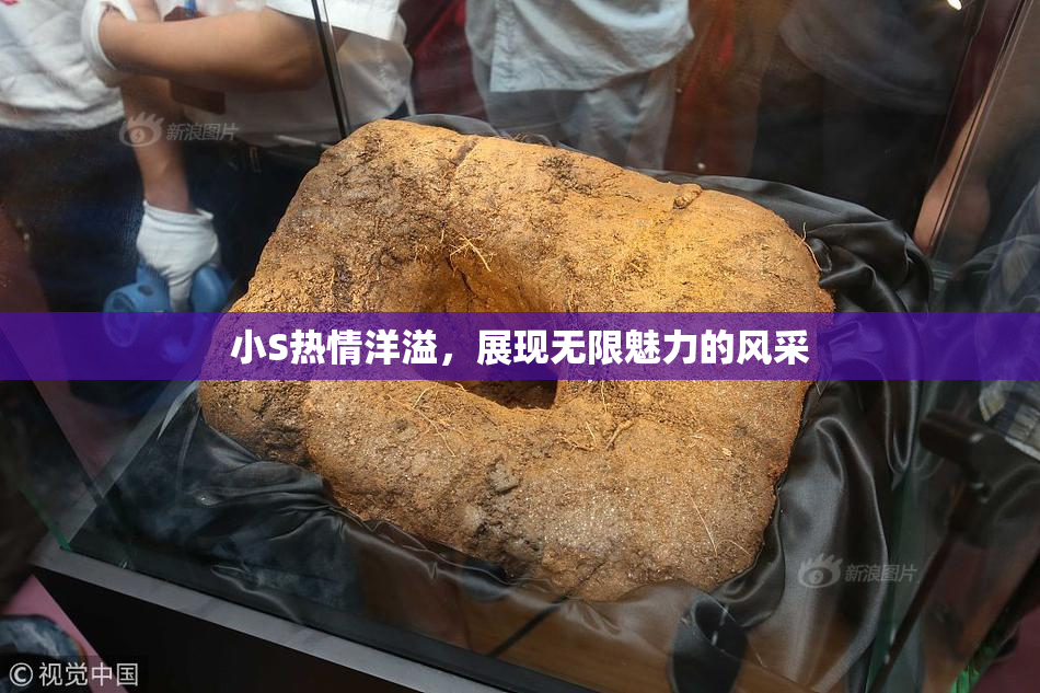 小S热情洋溢，展现无限魅力的风采