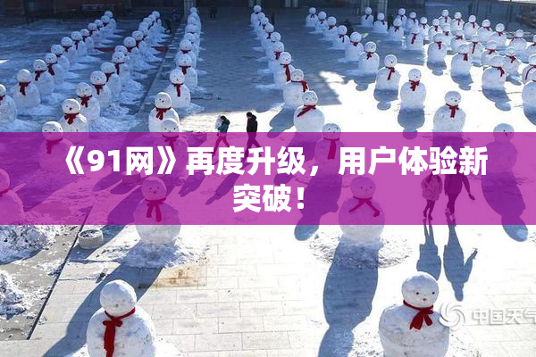 《91网》再度升级，用户体验新突破！