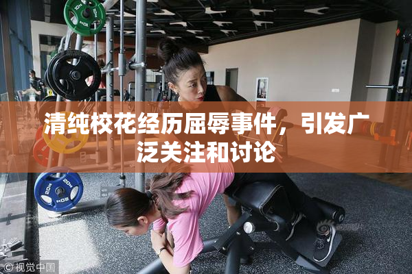 清纯校花经历屈辱事件，引发广泛关注和讨论