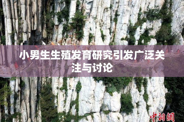 小男生生殖发育研究引发广泛关注与讨论
