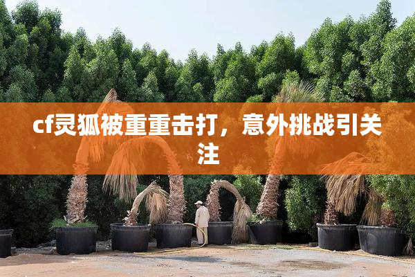 cf灵狐被重重击打，意外挑战引关注
