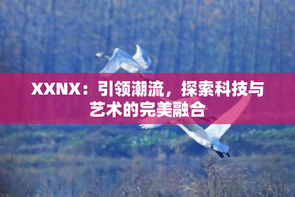 XXNX：引领潮流，探索科技与艺术的完美融合