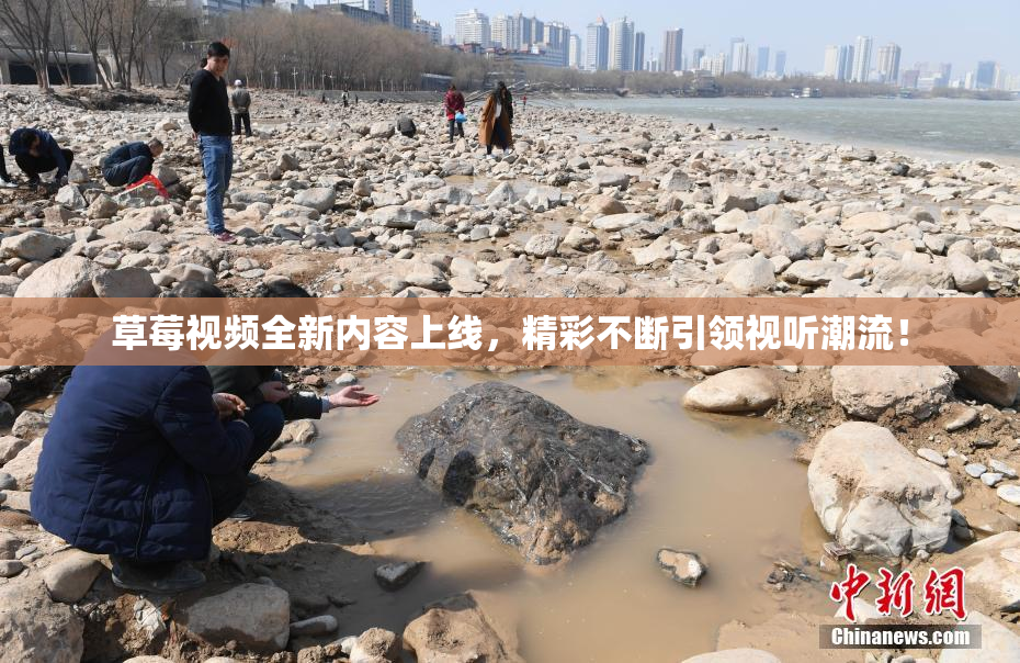 草莓视频全新内容上线，精彩不断引领视听潮流！