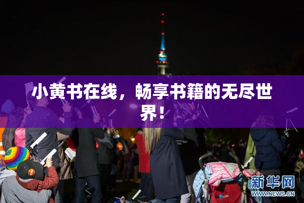 小黄书在线，畅享书籍的无尽世界！