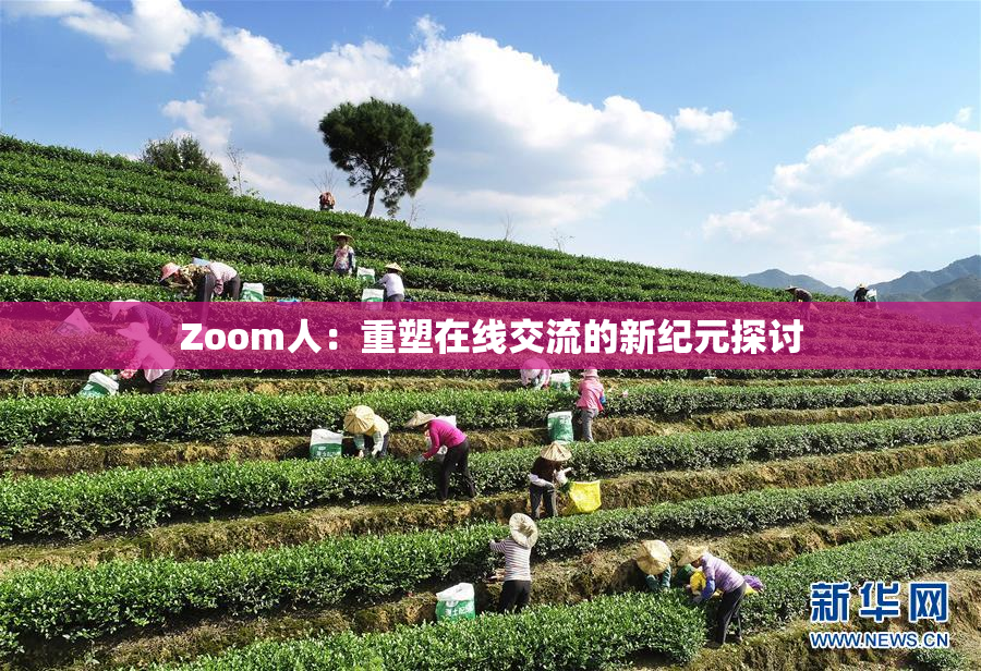 Zoom人：重塑在线交流的新纪元探讨