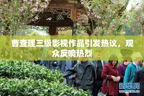 曹查理三级影视作品引发热议，观众反响热烈