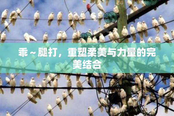 乖～腿打，重塑柔美与力量的完美结合