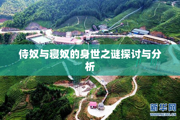 侍奴与寝奴的身世之谜探讨与分析