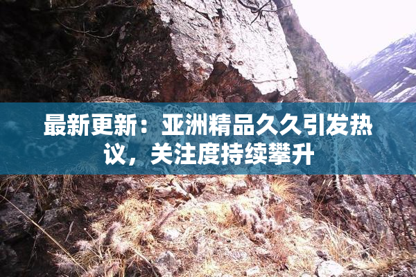 最新更新：亚洲精品久久引发热议，关注度持续攀升