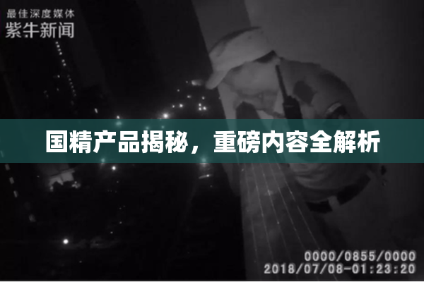 国精产品揭秘，重磅内容全解析