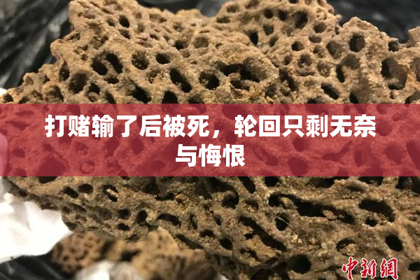 打赌输了后被死，轮回只剩无奈与悔恨