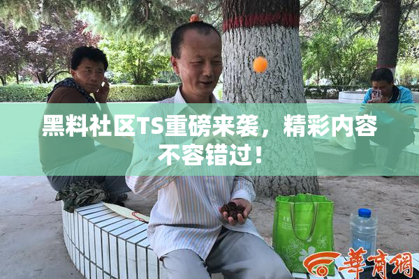 黑料社区TS重磅来袭，精彩内容不容错过！