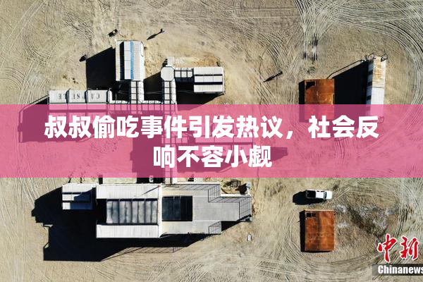 叔叔偷吃事件引发热议，社会反响不容小觑