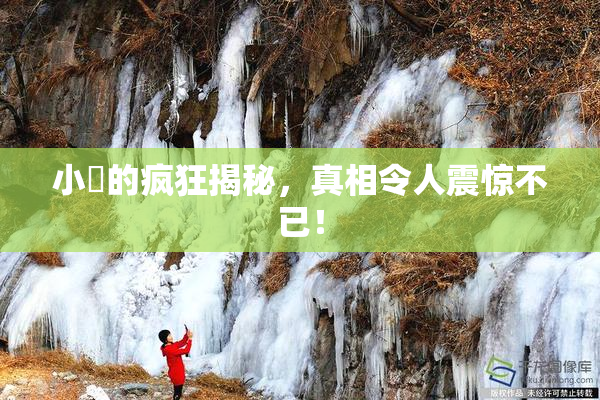 小泬的疯狂揭秘，真相令人震惊不已！