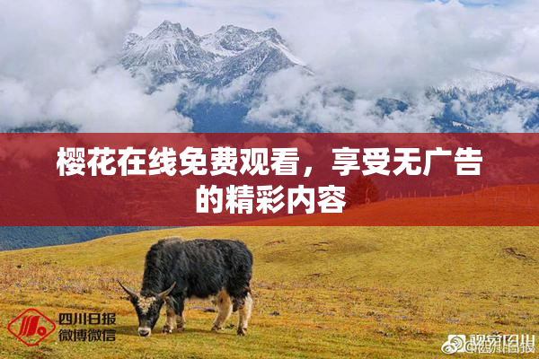 樱花在线免费观看，享受无广告的精彩内容