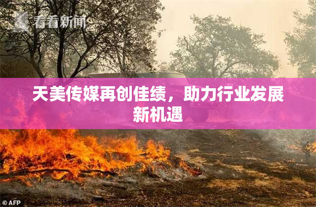 天美传媒再创佳绩，助力行业发展新机遇