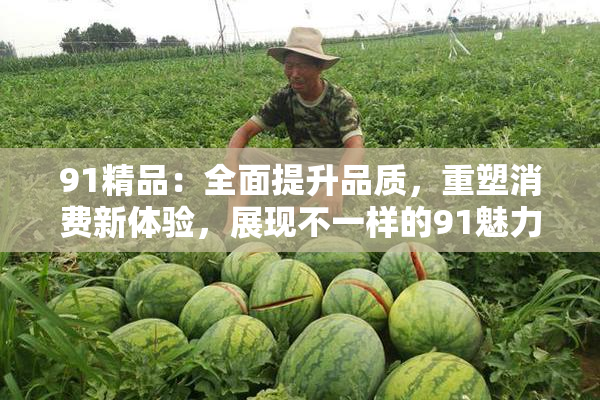 91精品：全面提升品质，重塑消费新体验，展现不一样的91魅力