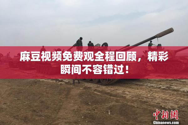 麻豆视频免费观全程回顾，精彩瞬间不容错过！